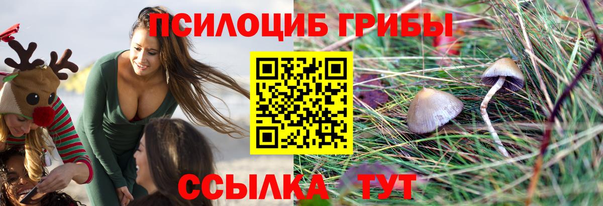 купить  сайты  Псилоцибиновые грибы ЛСД  Вход с VPN  Лабытнанги 